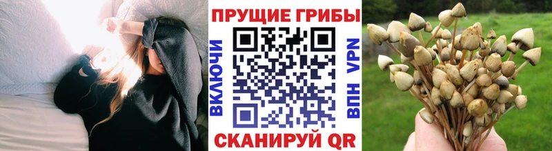 Псилоцибиновые грибы ЛСД  закладка  Краснознаменск 
